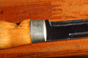финик 2.jpg