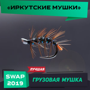 SWAP_2019_1 (1).jpg