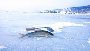 DSC_1329~2.JPG