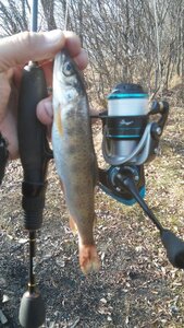 20201024_124624.jpg