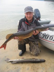 IMG_1447.jpg