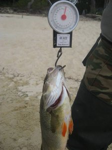IMG_1450.jpg