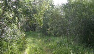 Ихэ-Огунь 2011 013.jpg