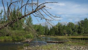 Ихэ-Огунь 2011 019.jpg