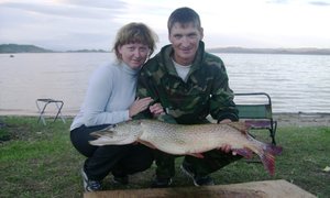 DSC02204-1.JPG