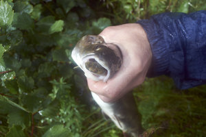 DSC_0797.jpg