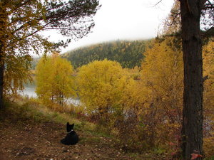 DSC00963_новый размер.JPG