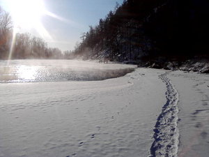 P20-11-11_12.01.jpg