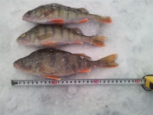 2011-11-23 13.41.30.JPG