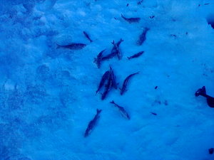 P04-12-11_10.54.jpg