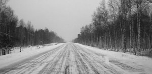макс 044.jpg