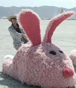 bunny.jpg