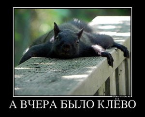 Demotivators_08.jpg