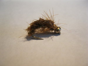 IMG_2098.JPG