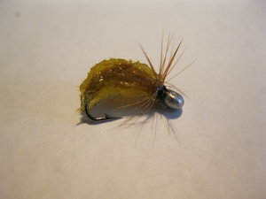 IMG_2091.JPG