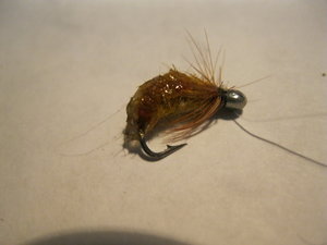 IMG_2078.JPG