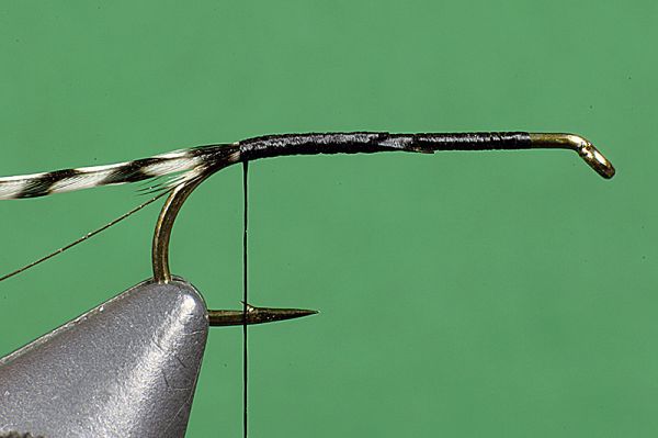 ADW CADDIS