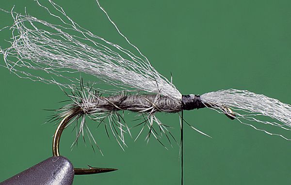 ADW CADDIS