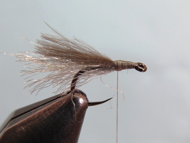 BACKSTOP CADDIS