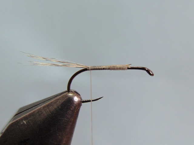 BWO UPRIGHT CDC WING