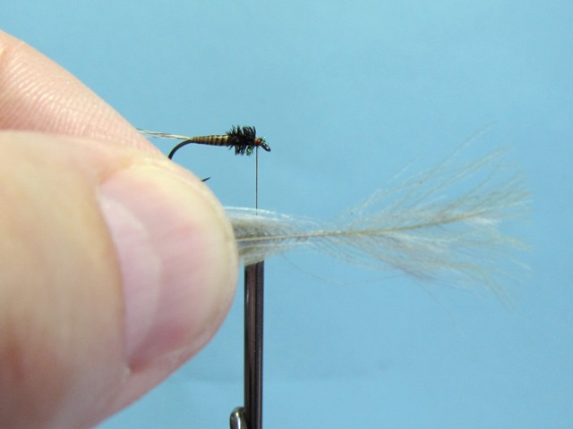 BWO UPRIGHT CDC WING