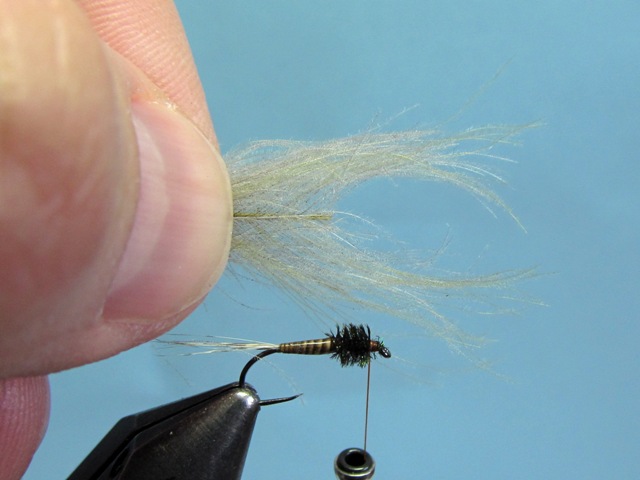 BWO UPRIGHT CDC WING