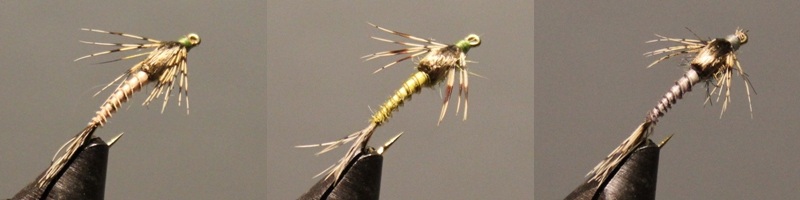 Biot Nymph