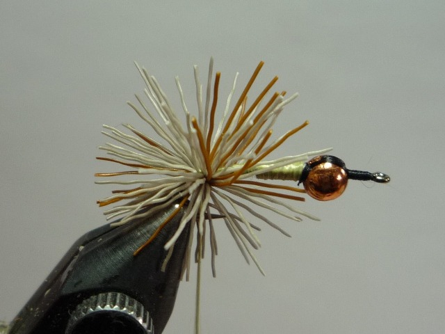 Clad Caddis