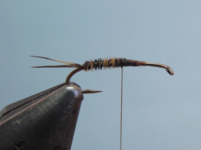 SMALL GAME EMERGER