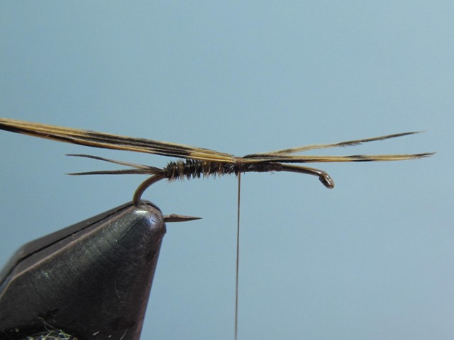 SMALL GAME EMERGER