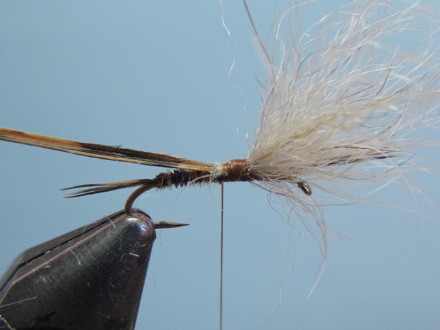 SMALL GAME EMERGER