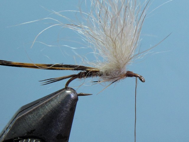 SMALL GAME EMERGER