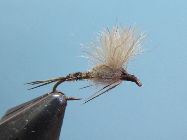 SMALL GAME EMERGER