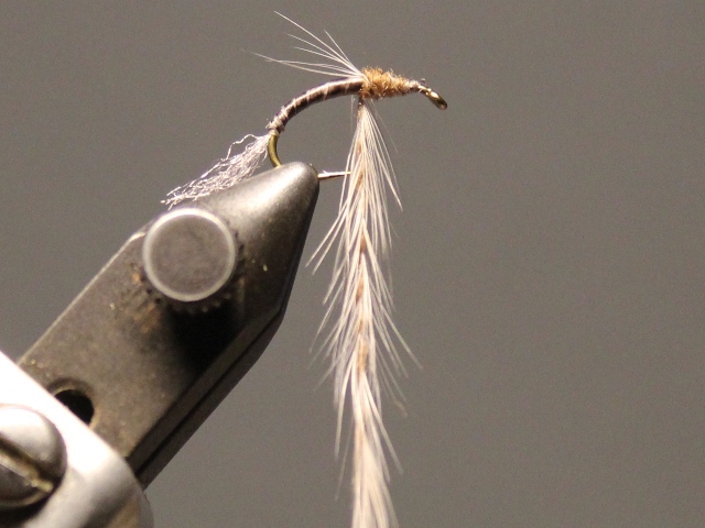 Twisted Hackle Emerger