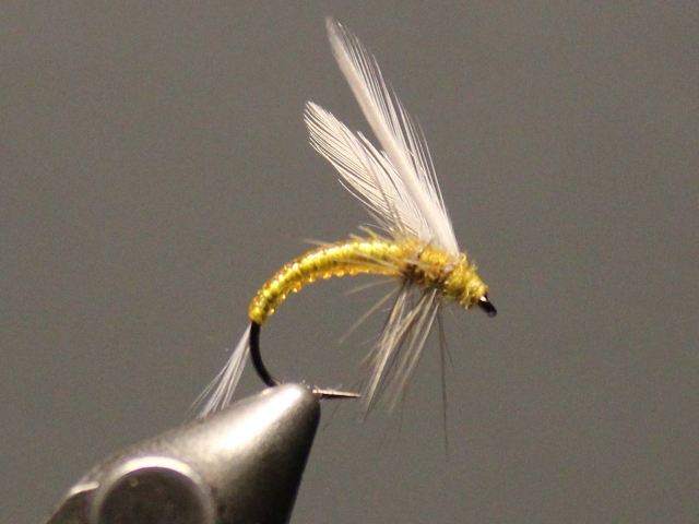 Winger Emerger