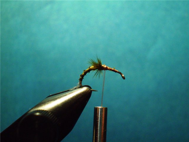 BWO TWISTED HACKLE EMERGER