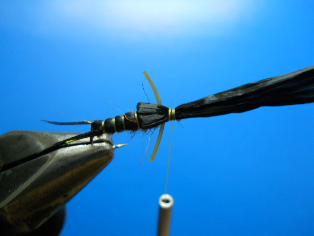 Black Raffia Stonefly Nymph