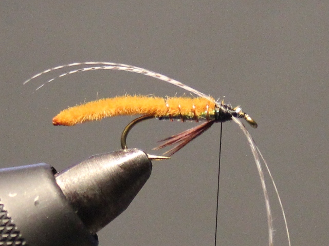 Caddis Poopah