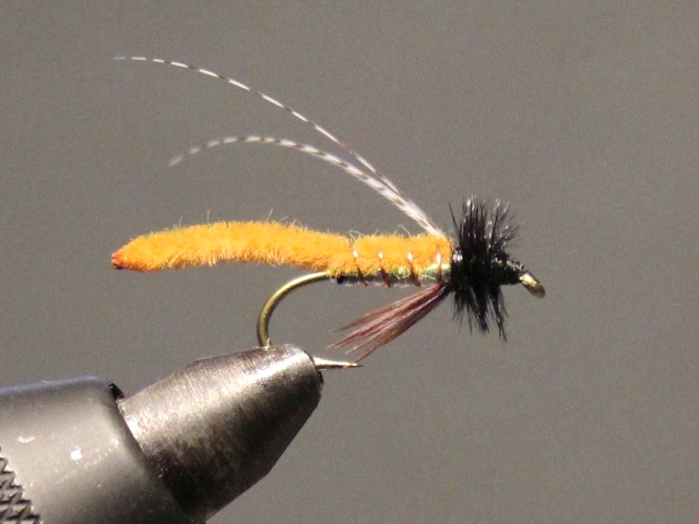 Caddis Poopah