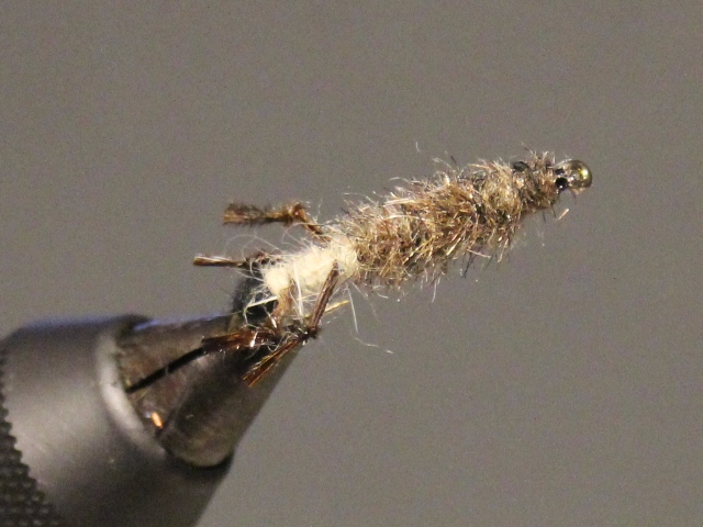 Cased Caddis 