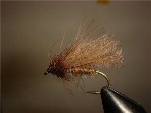 bce544eb341f.jpg