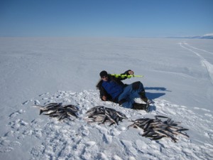 IMG_0554а.JPG