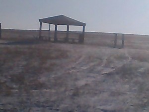IMG_20141115_141024.jpg