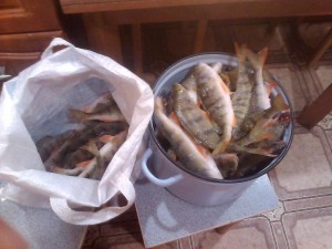 IMG_20141122_202837-1.JPG