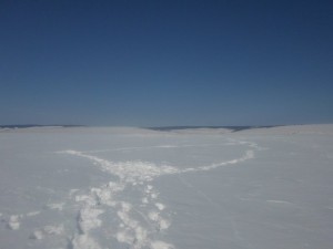 110799.jpg