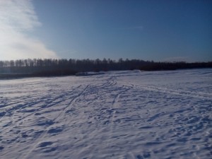 IMG_20160124_152030.jpg
