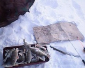 IMG0108A.jpg