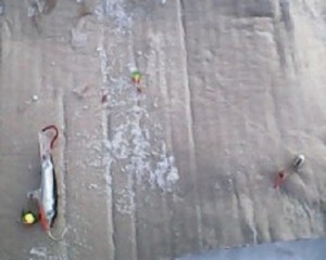 IMG0109A.jpg