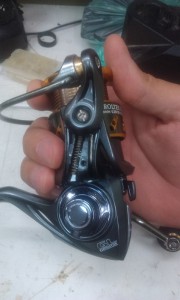 IMAG0958.jpg