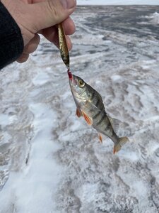 IMG_5668.jpeg
